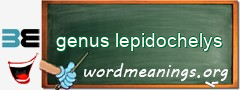 WordMeaning blackboard for genus lepidochelys